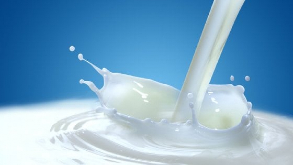 Crisi del latte, Zinzi chiede la convocazione di un tavolo tecnico