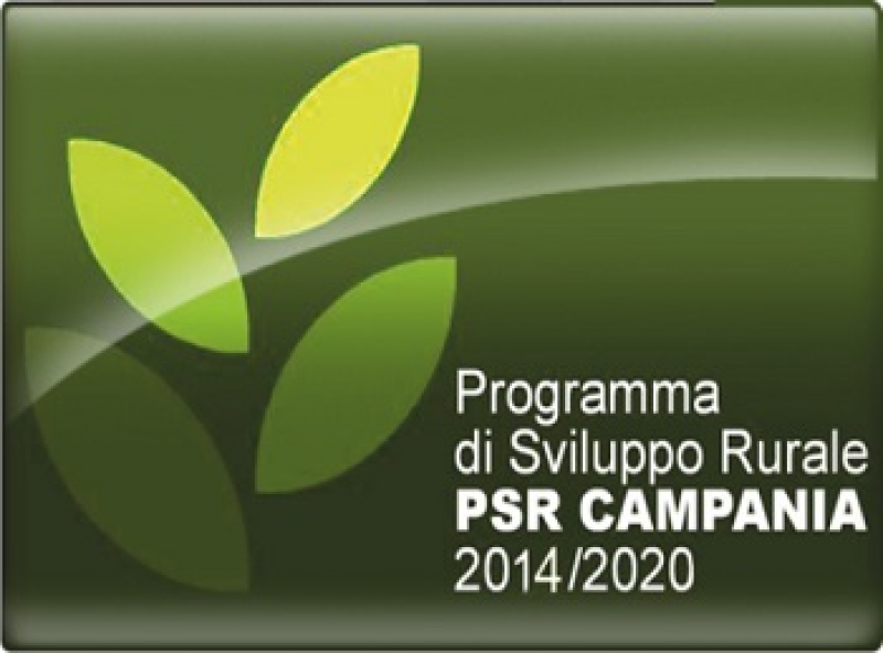 Programmazione PSR 2014/2020 in Provincia di Caserta, Zinzi interroga De Luca